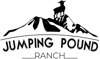 logo_Vertical-black-large